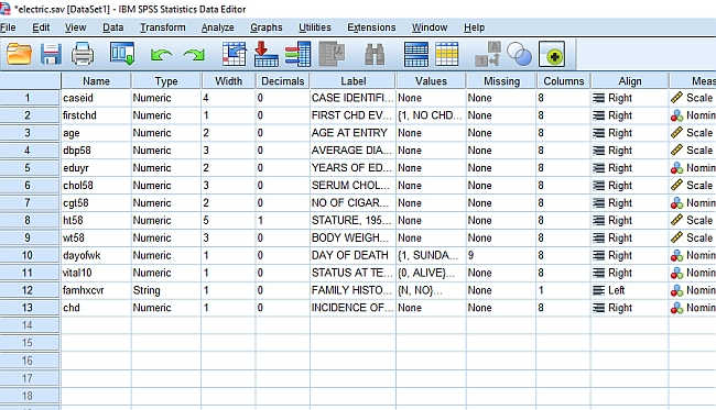 SPSS Analysis